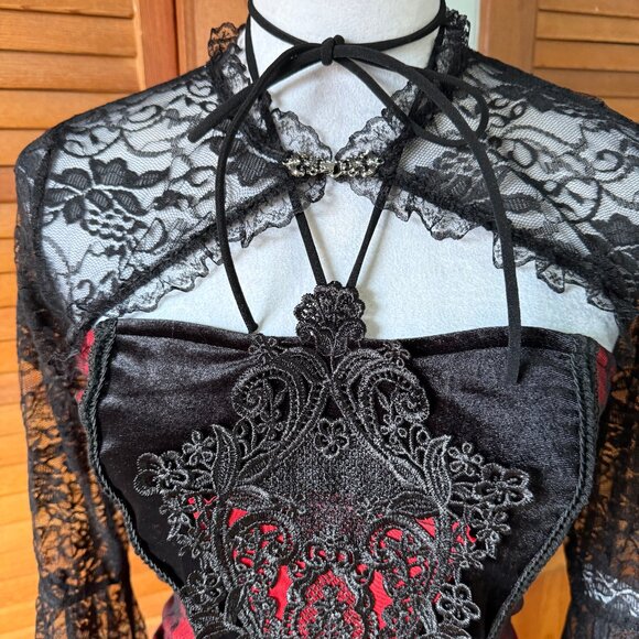 Gothic Victorian Vampire Bloody Garden of Delight Black & Red Lace Velvet Gown - Picture 14 of 15